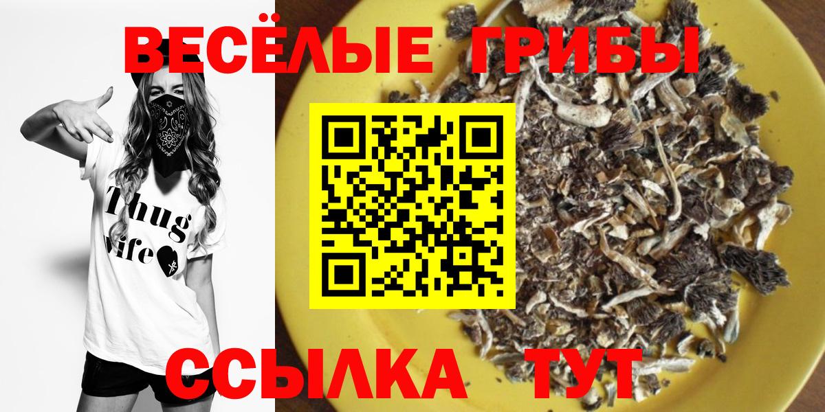 Псилоцибиновые грибы Cubensis  Вход с VPN  хочу наркоту  Дальнегорск 